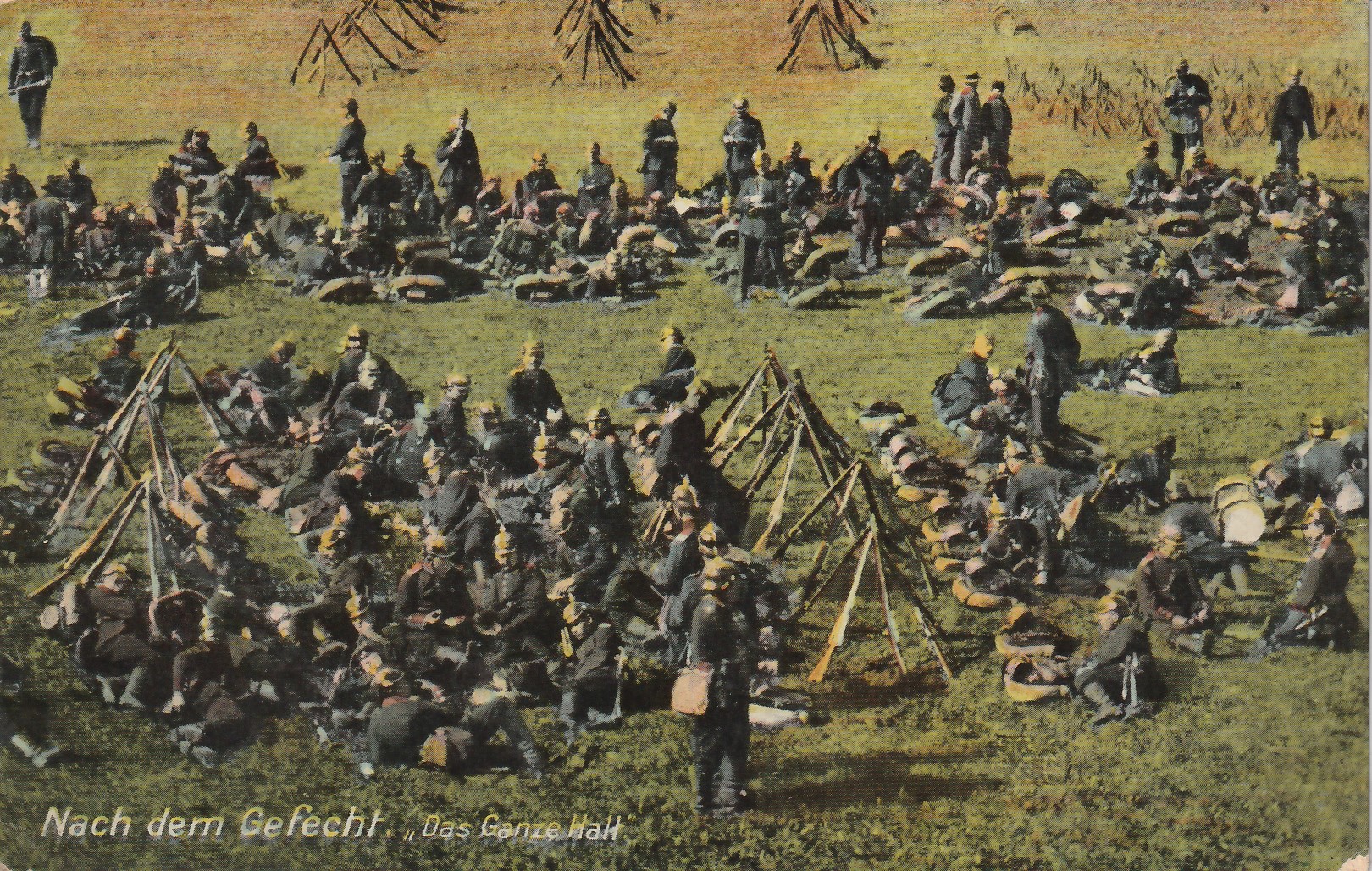 1912.02.29 A COLMAR.jpg