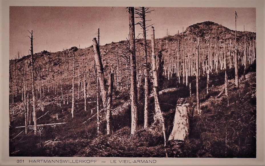14/18 : Les Feldgrauen alsaciens au&nbsp;front